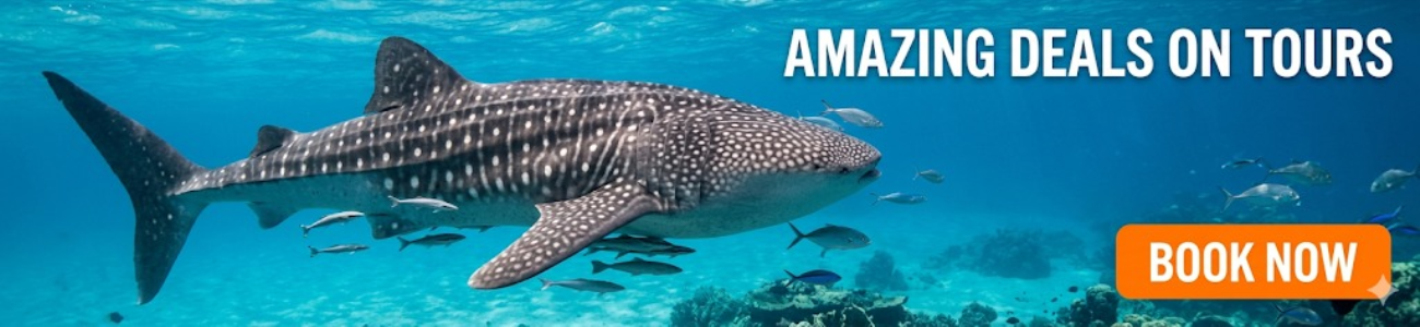 Slider - Kalido Travel