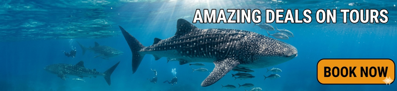 Slider - Kalido Travel