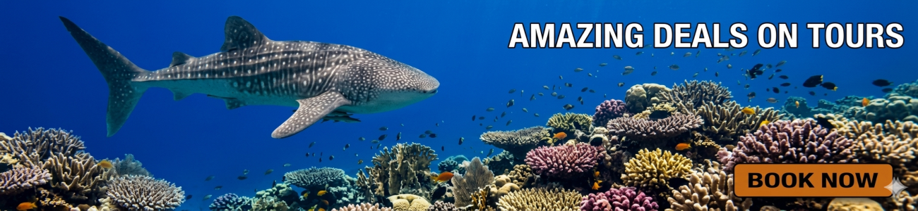 Slider - Kalido Travel