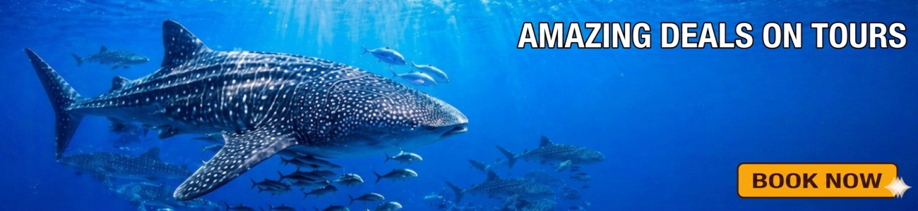 Slider - Kalido Travel