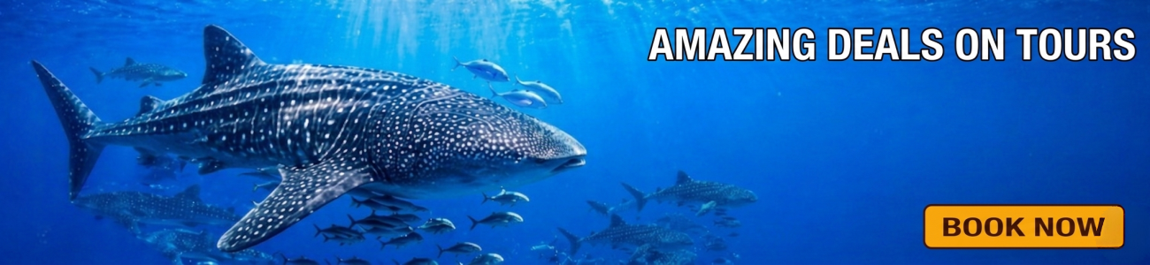 Slider - Kalido Travel